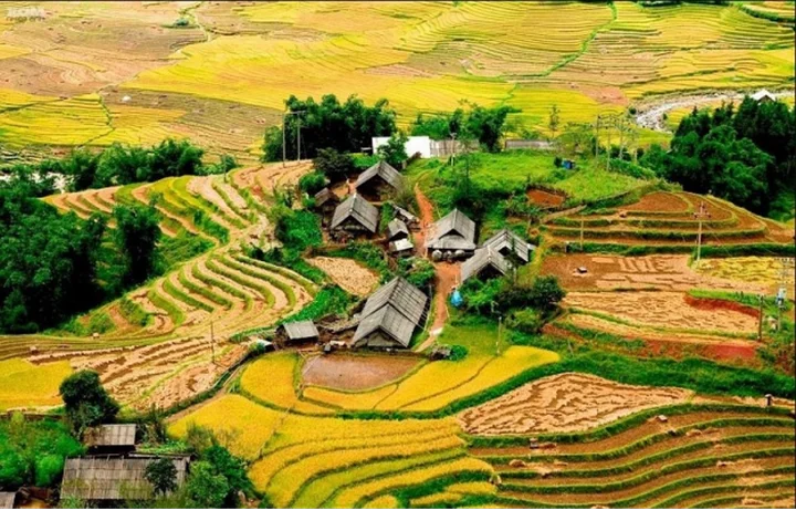 Thung lũng Mường Hoa Sa Pa