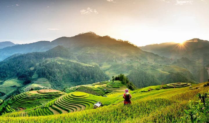 Mu Cang Chai terraced fields