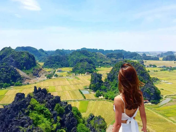 Tam Coc rice fields Ninh Binh