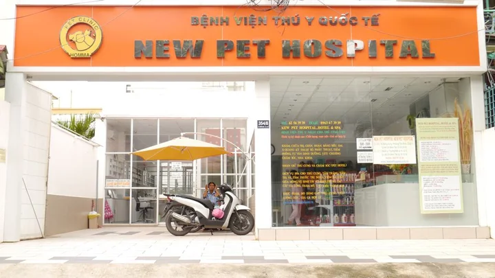 Top ph&ograve;ng kh&aacute;m th&uacute; cưng uy t&iacute;n tại TP HCM