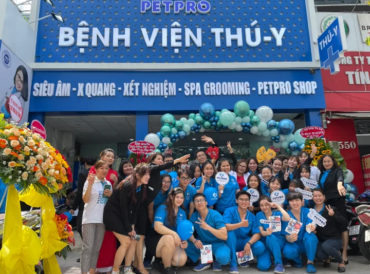 Top ph&ograve;ng kh&aacute;m th&uacute; cưng uy t&iacute;n tại TP HCM