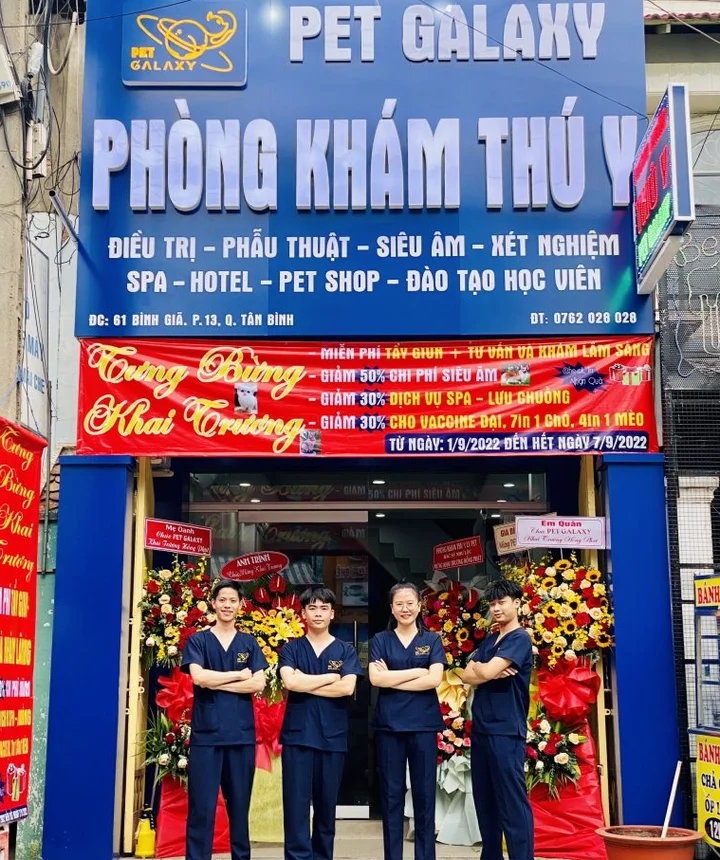 Top ph&ograve;ng kh&aacute;m th&uacute; cưng uy t&iacute;n tại TP HCM