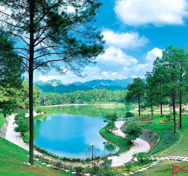 Hồ nước tại rừng thông Bản Áng
