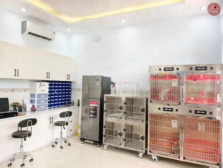 Review Chaien Cattery - Pet Shop & Vet Clinic: Ph&ograve;ng kh&aacute;m th&uacute; y hiện đại v&agrave; uy t&iacute;n nhất Cần Thơ