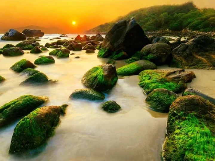 Review Đ&agrave; Nẵng - Th&agrave;nh phố đ&aacute;ng sống nhất Việt Nam