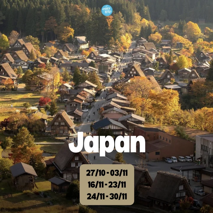 Review tour du lịch Japan Unique Autumn - Ngắm m&ugrave;a thu Nhật Bản c&ugrave;ng Easy Trip