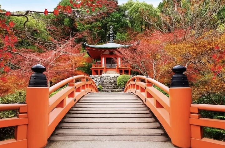 Review tour du lịch Japan Unique Autumn - Ngắm m&ugrave;a thu Nhật Bản c&ugrave;ng Easy Trip