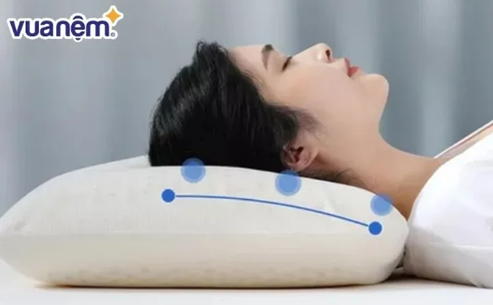 So sánh gối lông vũ và gối cao su