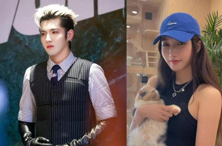 Review Ng&ocirc; diệc ph&agrave;m - từ người nổi tiếng số 1 showbiz đến con đường t&ugrave; tội
