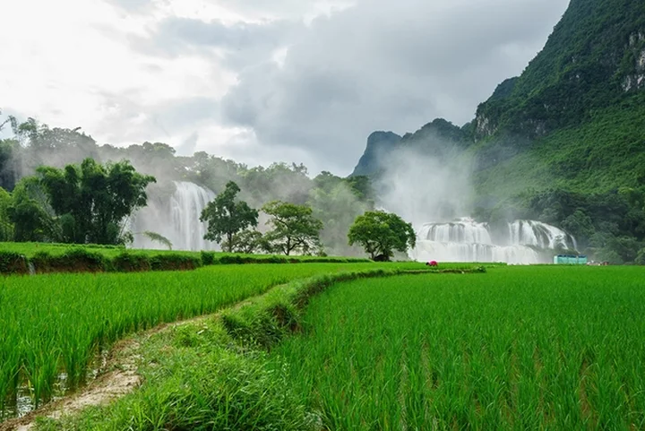 Comprehensive filming support services in Vietnam by expert local fixers
