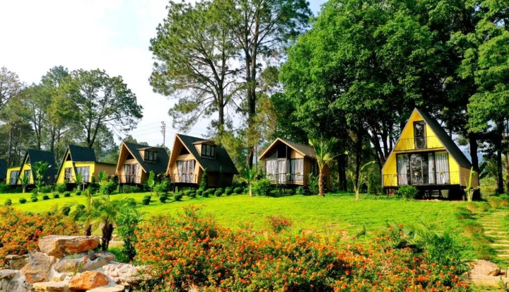 Phoenix Mộc Châu Resort giữa rừng thông