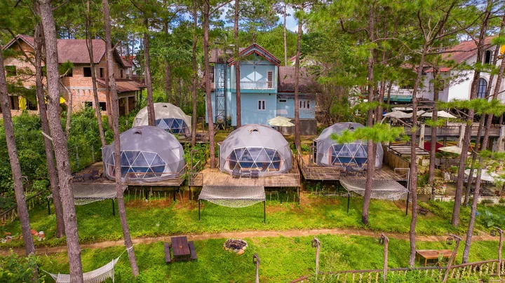 Không gian rừng thông De Vivre Homestay
