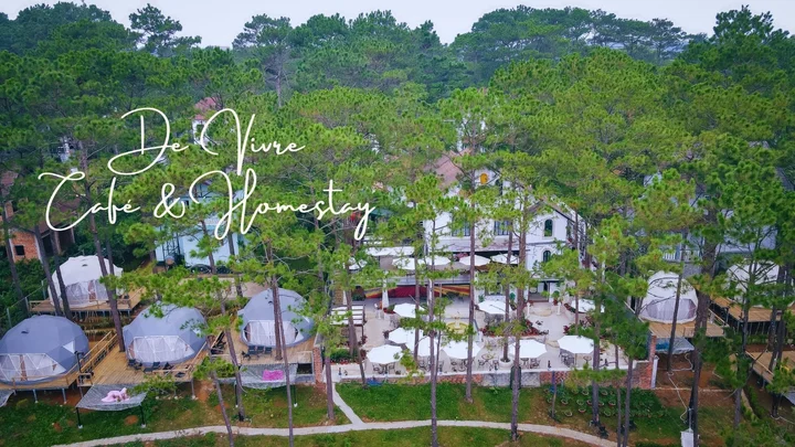 Đánh giá khách hàng De Vivre Homestay