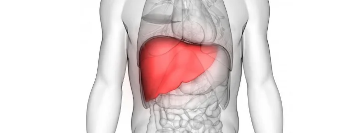 Review Liver Detox - vi&ecirc;n uống bổ gan v&agrave; thải độc gan của &Uacute;c - Liver Detox c&oacute; tốt kh&ocirc;ng?