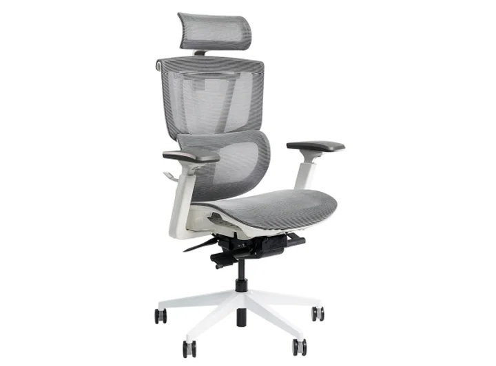 Ghế công thái học Epione ErgoChair Pro 2.0