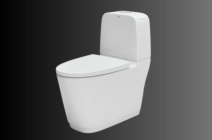 C&aacute;c loại bồn cầu vệ sinh phổ biến v&agrave; tốt nhất hiện nay