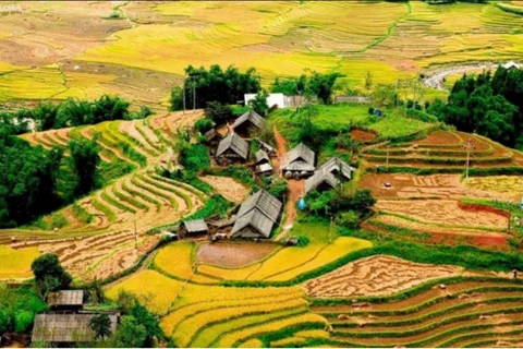 Review Sapa - Điểm Đến Đầy Màu Sắc và Truyền Thống