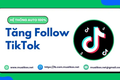 Top 6 Web Tăng Follow TikTok Uy Tín, Giá Rẻ Nhất 2026